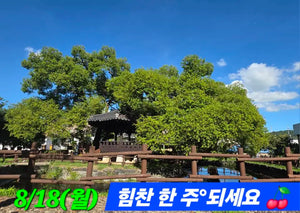 Scca7ef28a51f42ac846eaf9f2c7d464cn.jpg